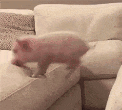 忽略這點，自動售貨機收益少七成！(圖2)