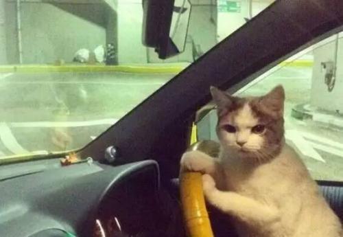 大尺度展會,提前小劇透!