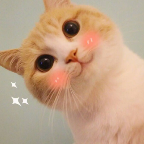 【純干貨】自動售貨機在戶外投放應當注意什么?(圖6) 1-221125161949345.png